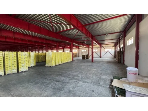 Tirane, jepet me qera ambjent biznesi , 6.000 m² (Vaqarr)