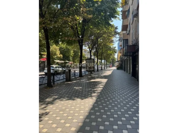 Tirane, jepet me qera dyqan Kati 0, 24 m² 950 € 