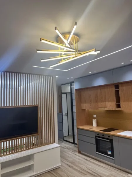 Tirane, jepet me qera apartament 1+1+Ballkon Kati 5, 60 m² 650 € (rruga e dibres)