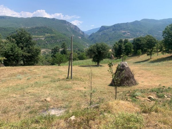 Tirane, shitet toke , 11.000 m² 550.000 € 