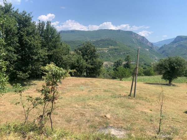 Tirane, shitet toke , 11.000 m² 550.000 € 