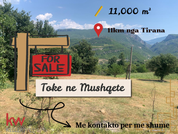 Tirane, shitet toke , 11.000 m² 550.000 € 