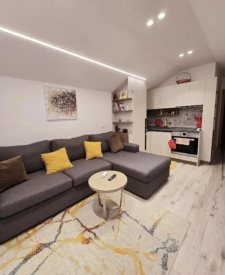 Tirane, jepet me qera apartament 1+1+Ballkon , 45 m² 400 € (Pazari i Ri)