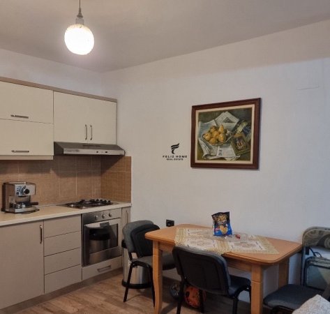 Tirane, jepet me qera apartament 1+1 Kati 1, 55 m² 400 € (SHKOLLA BASHKUAR)