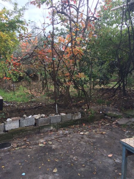 Tirane, jap me qera shtepi 3+1 Kati 0, 140 m² 310 € (Rruga Shaban Bardhoshi)