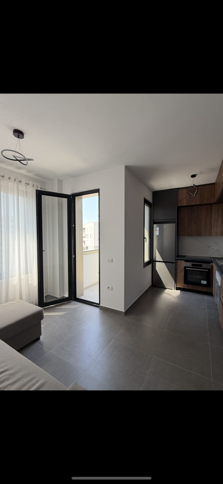 Tirane, jepet me qera apartament 1+1+Ballkon Kati 5 + garage  600 € (Rruga “Frosina Plaku”)
