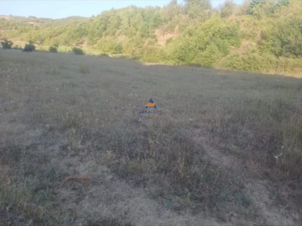 Tirane, shitet toke , 2.750 m² 51.800 € (Baldushk)