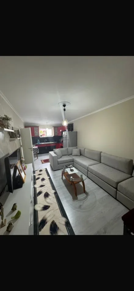 Tirane, jepet me qera apartament 1+1+parkim Kati 1, 70 m² 550 € (Bar Votra, Kryqzimi i Brrylit)