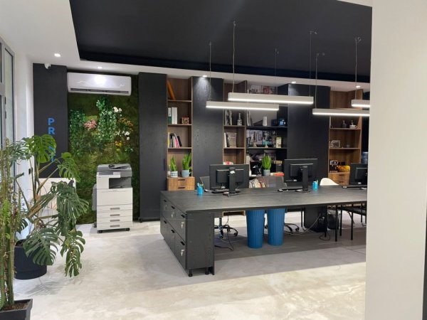 Tirane, shitet ambjent biznesi Kati 0, 101 m² 250.000 € (Liqeni i Thate)