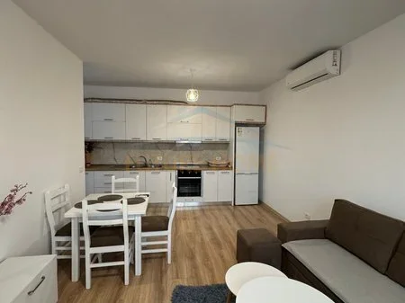 Tirane, jepet me qera apartament 1+1 Kati 7, 65 m² 450 € 