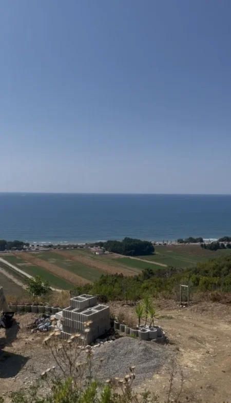 Spille, shitet toke , 4.000 m²