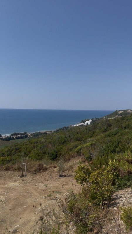 Spille, shitet toke , 4.000 m²