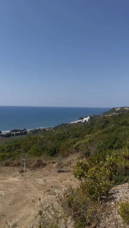 Spille, shitet toke , 4.000 m²