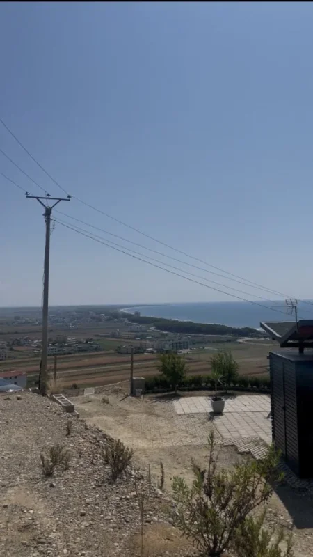 Spille, shitet toke , 4.000 m²