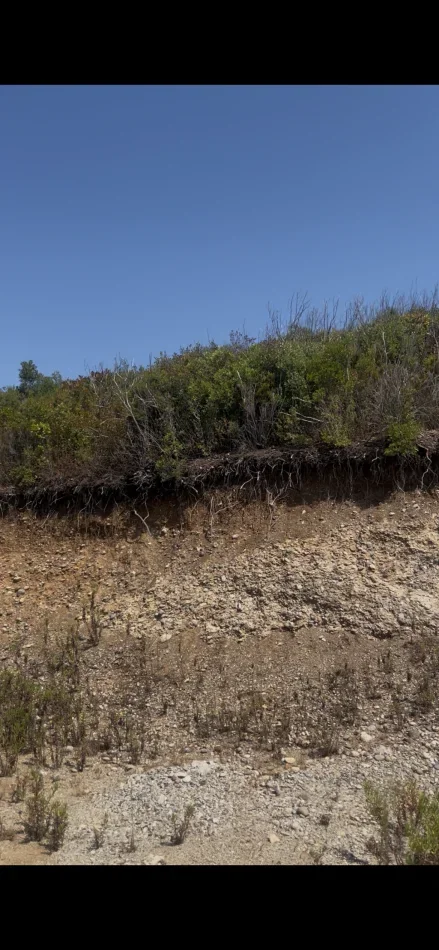 Spille, shitet toke , 4.000 m²