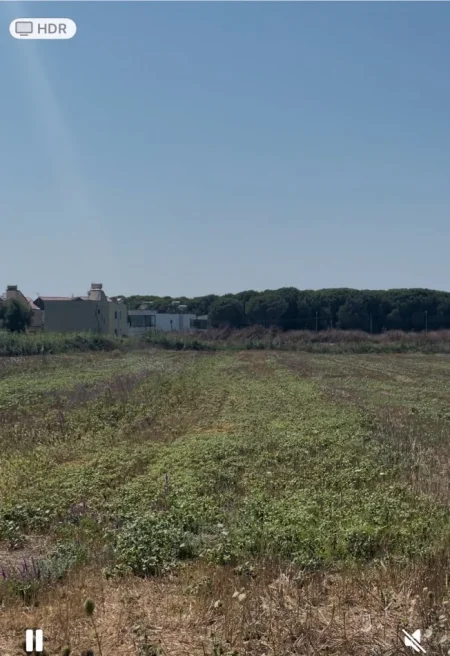 Spille, shes toke , 3.000 m² 