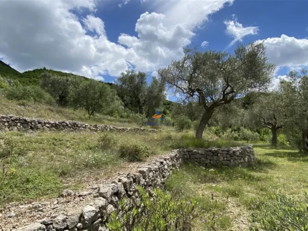 Shqiperi, shitet toke , 4.000 m² 300.000 € (petrele)