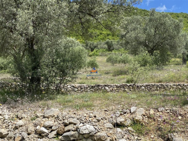 Shqiperi, shitet toke , 4.000 m² 300.000 € (petrele)