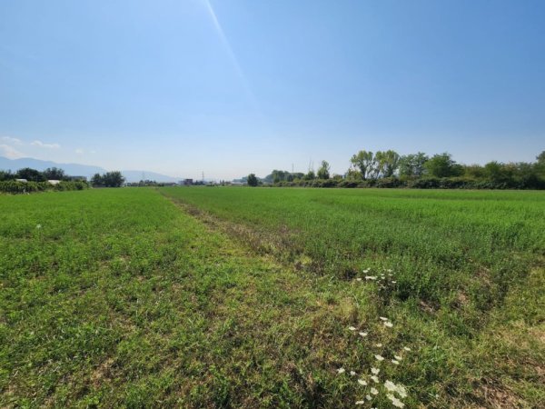 🟤 Shitet Tokë 3500m² Pas Megatek 🏬 ( Autostrada - Tiranë - Durrës 📍) (( 175,000€)) - Vendodhje Strategjike 🟢