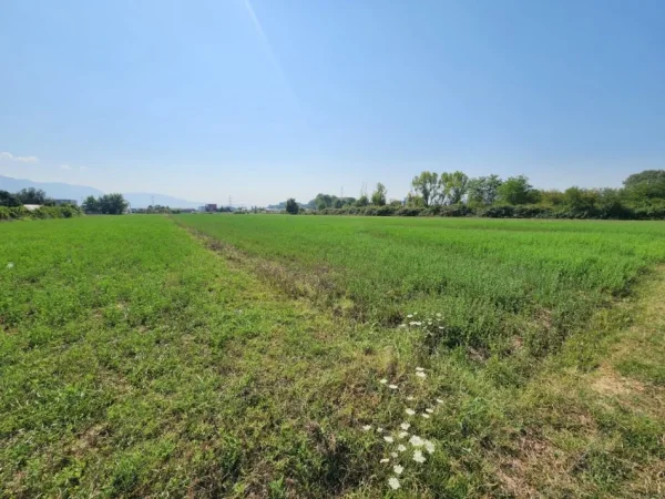 🟤 Shitet Tokë 3500m² Pas Megatek 🏬 ( Autostrada - Tiranë - Durrës 📍) (( 165,000€)) - Vendodhje Strategjike 🟢