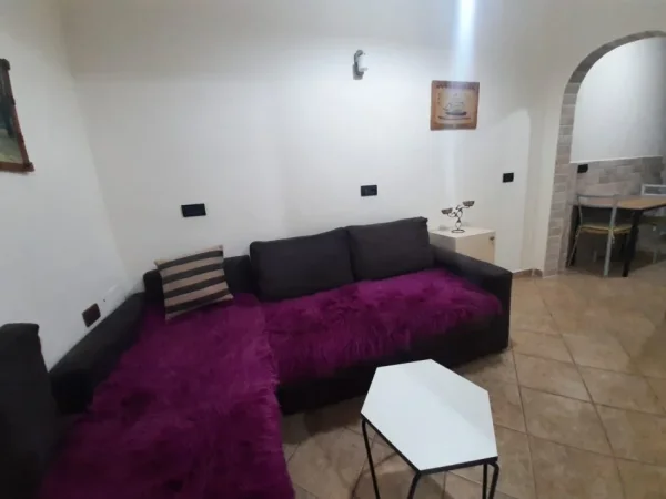 Tirane, jepet me qera apartament 1+1 Kati 2, 47 m² 450 € 