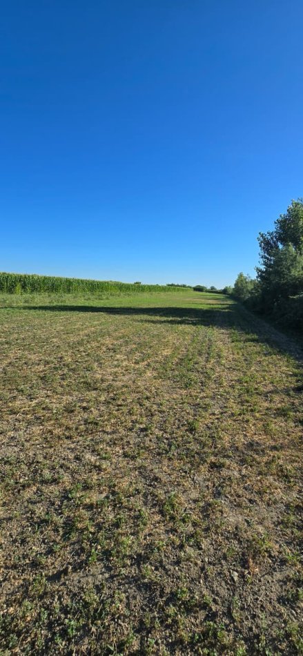 Fier, shitet toke , 2.000 m² 30.000 € (Topoje, Fier)