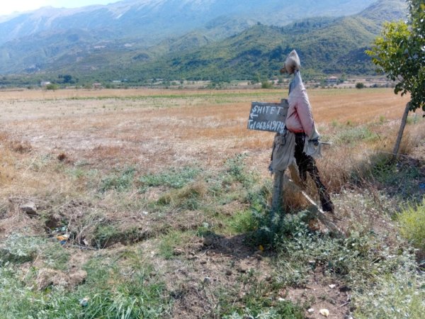 Permet, shitet toke bujqesore , 3.000 m² (Qilarisht)