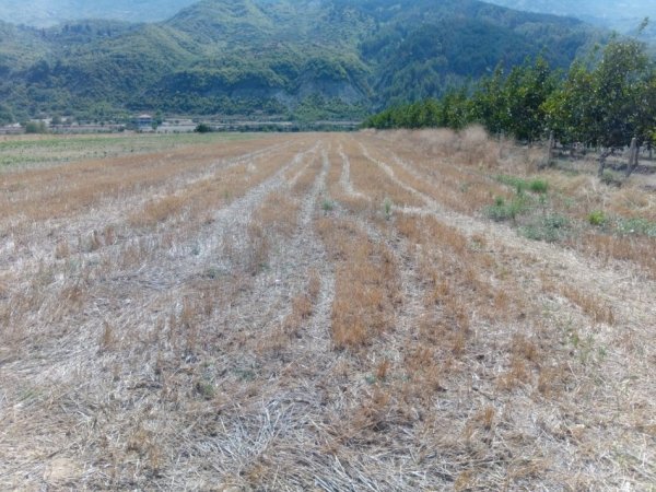 Permet, shitet toke bujqesore , 3.000 m² (Qilarisht)