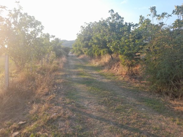 Permet, shitet toke bujqesore , 4.400 m² (Qilarisht)
