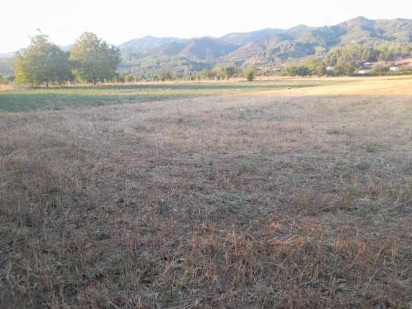 Permet, shitet toke bujqesore , 4.400 m² (Qilarisht)