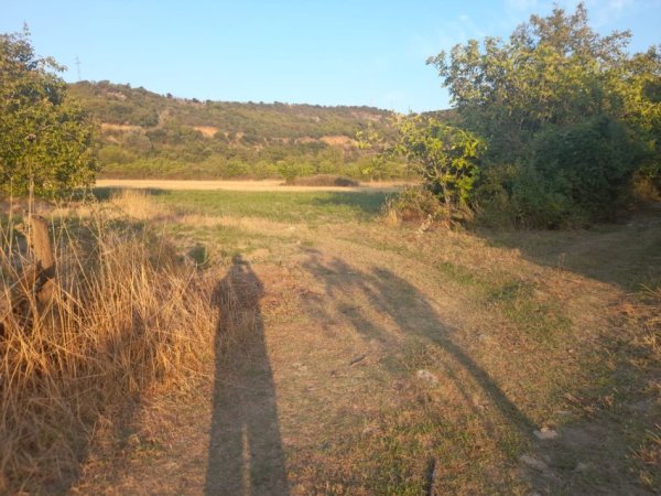Permet, shitet toke bujqesore , 4.400 m² (Qilarisht)