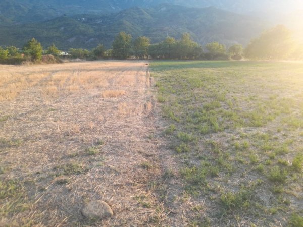 Permet, shitet toke bujqesore , 4.400 m² (Qilarisht)