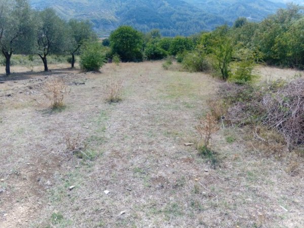 Permet, shitet toke bujqesore , 1.100 m² (Qilarisht)
