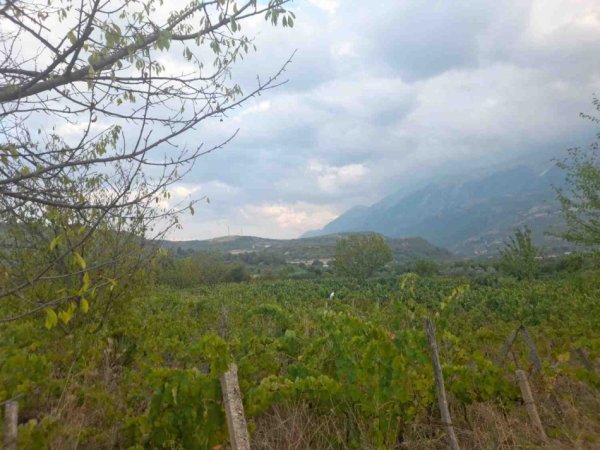 Permet, shitet toke bujqesore , 5.500 m² (Qilarisht)