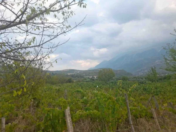 Permet, shitet toke bujqesore , 5.500 m² (Qilarisht)