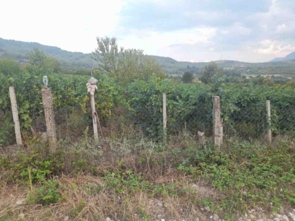 Permet, shitet toke bujqesore , 5.500 m² (Qilarisht)