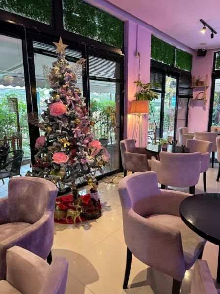 Tirane, jepet me qera Kati 0, 65 m² 700 € 