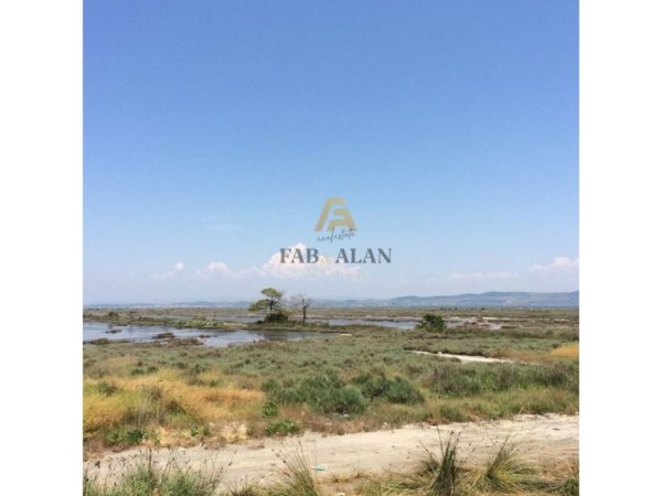 Divjake, shitet toke , 2.000.000 m² 10.000.000 € (Divjake)