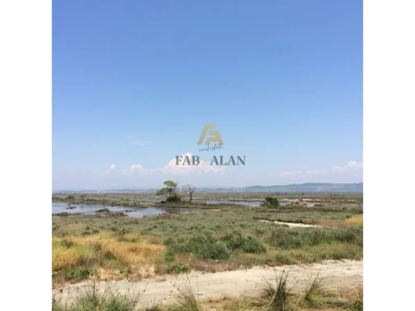 Divjake, shitet toke , 2.000.000 m² 10.000.000 € (Divjake)