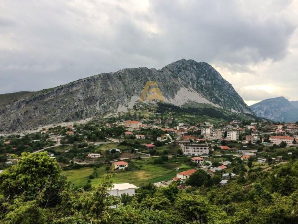 Kolonje, shitet toke , 5.000.000 m² 22.500.000 € (Kolonje)