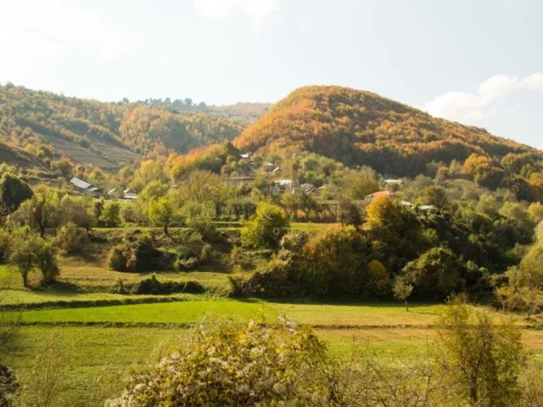 Devoll, shitet toke , 2.000.000 m² 6.600.000 € (Devoll)