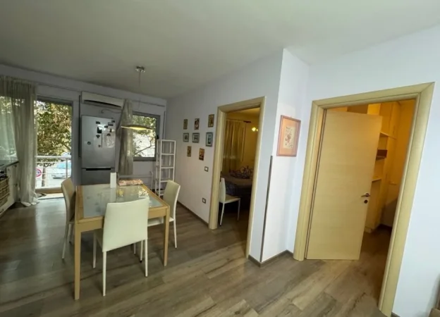 Tirane, jepet me qera apartament 2+1+Ballkon , 80 m² 600 € (Rruga Haxhi Hyseni Dalliu)