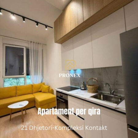 Tirane, jepet me qera apartament 1+1+Ballkon Kati 1, 45 m² 500 € (21 Dhjetori)