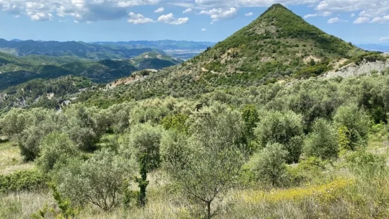 Tirane, shitet toke , 4.000 m² 300.000 € (PETRELE)