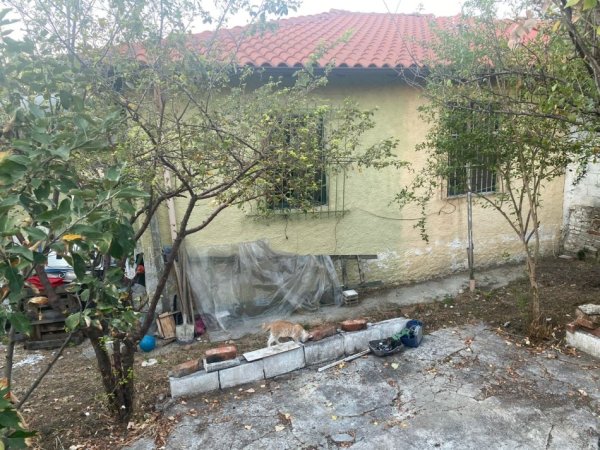 Tirane, shitet shtepi 1 Katshe Kati 1, 79 m² 79.000 € (Kombinat Tirane)
