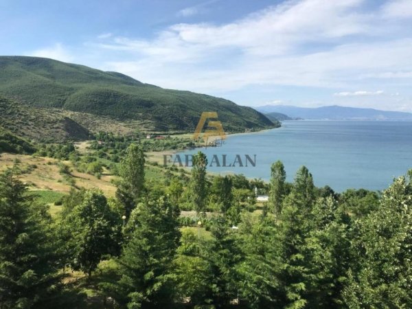 Pogradec, shitet toke , 700.000 m² 42.000.000 € (Piskupat)