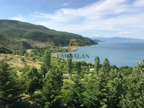 Pogradec, shitet toke , 700.000 m² 42.000.000 € (Piskupat)
