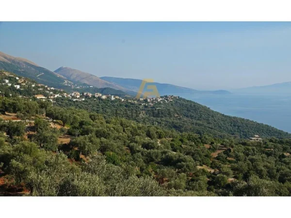 Borsh, shitet toke , 17.000 m² 3.060.000 € (Piqeras)