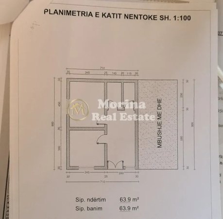 morina real estate copyright (5).jpeg