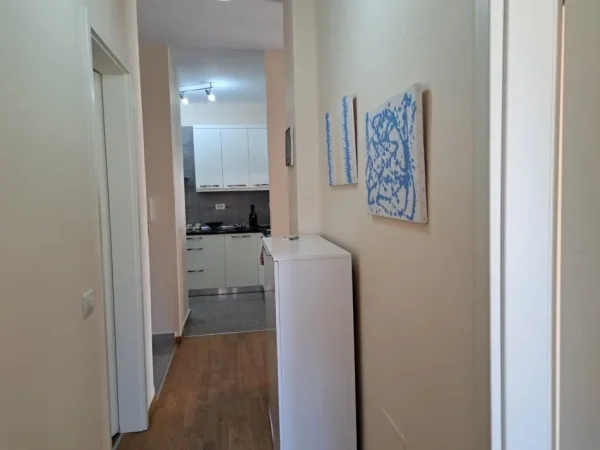 Tirane, jepet me qera apartament 2+1 Kati 0, 120 m² 900 € (Rruga Ibrahim Shalqizi)